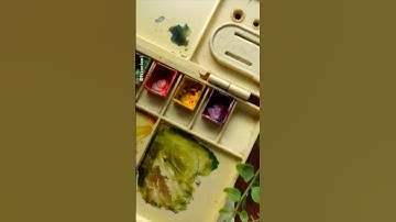 Watercolor Toucan: Full Tutorial Coming!