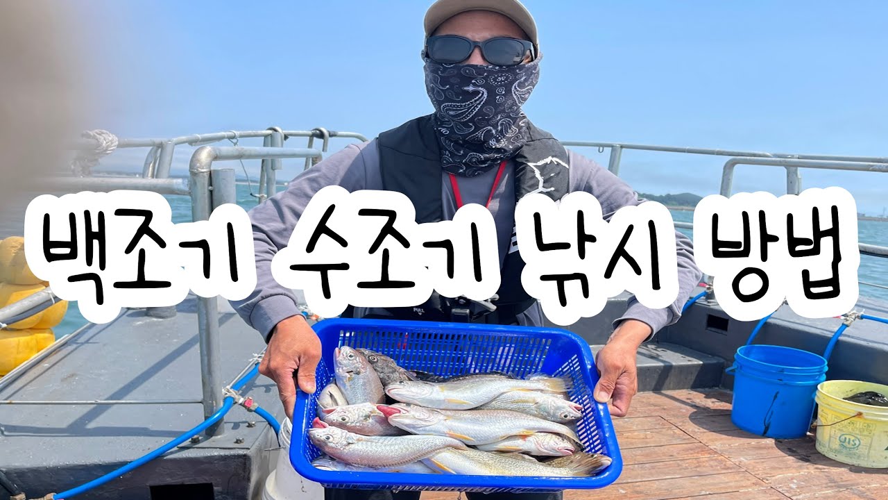 💯백조기 수조기 낚시🐟 방법 알아보기 - YouTube