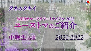 【園芸】タキイ「ユーストマ」2021-2022年 中晩生品種のご紹介