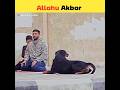 Dog vs muslim boy namaz viral  miracle of allah  shorts allah viral trending namaz