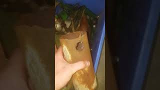 Agria 2800 Hatz E780 Diesel Baujahr 1965 Restauration. Part 1