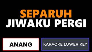 Anang - Separuh Jiwaku Pergi (Karaoke Lower Key)
