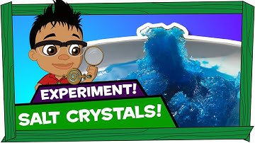 Kid Experiments: Salt Crystals - Darwin and Newts