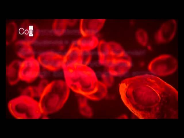 Гепатит С + ВИЧ: у любой проблемы есть решение