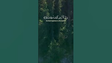 سورة الغاشية#QuranStories   #IslamicStories