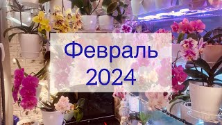 :    04.02.2024