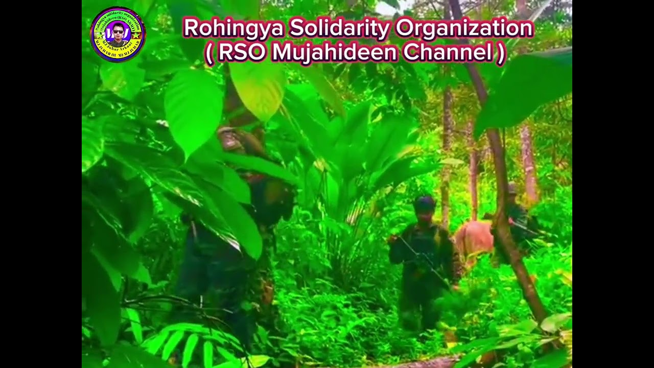 The massage for every rohingya muslim  Rohingya Solidarity Organization RSO Mujahideen
