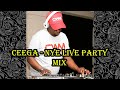 Ceega - NYE Live Party Mix