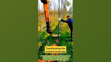 Orchard landscape transforming- Good tools and machinery can increase work efficiency