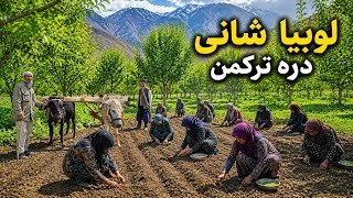 قسمت دوم: دل انگیزترین طبیعت دره ترکمن ولایت پروان.