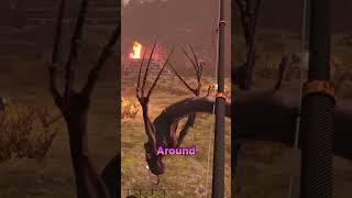 fishing in this game was a mistake #gaming #scary