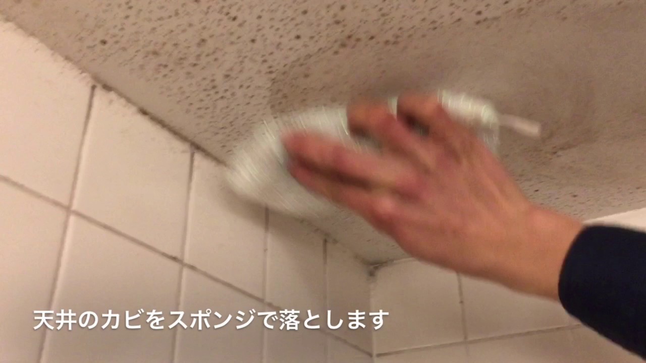 汚風呂掃除 お風呂の天井のカビ取りは洗剤なしでも簡単 Youtube