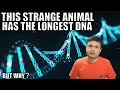 The Longest Genome in the Animal Kingdom Found - Not What I Expected