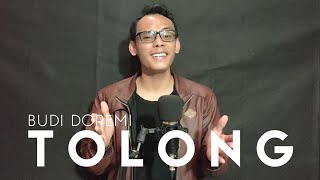 Tolong - Budi Doremi | Cover by Amzu