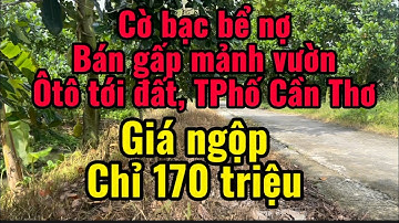 Cờ bạc bể nợ bán gấp chỉ 170 triệu, ôtô tới đất, khu vực TPhố Cần Thơ cách bến Ninh kiều 10 phút