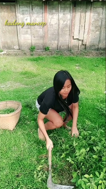 STORY WA || cewek cantik ngaret suket||#short #storywa #fyp