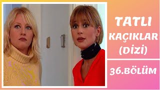 Tatlı Kaçıklar 36 Bölüm