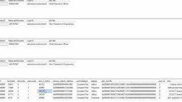 Parameterized Queries And Plan Cache Part I