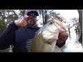 Catching Bass on Cypress Trees with Greg Hackney