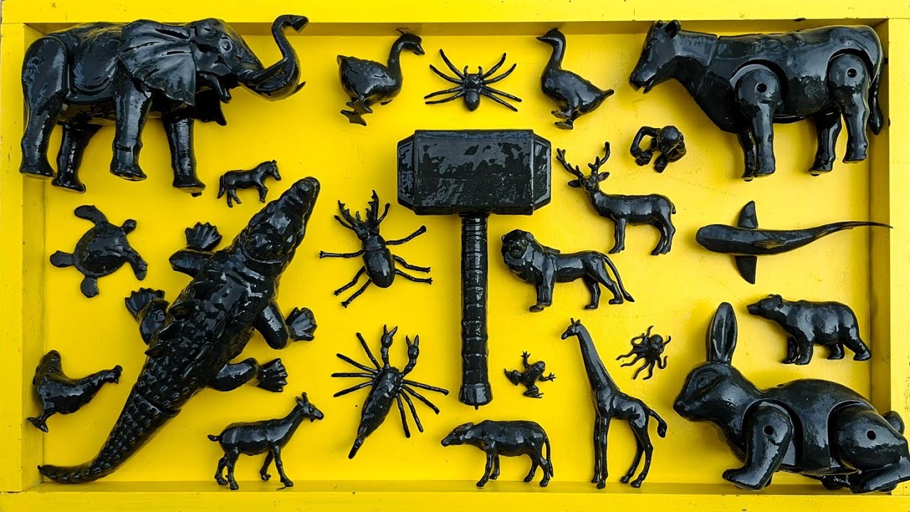 Membersihkan hewan sapi, bebek, angsa, ayam, gajah, simpanse, singa, unta, buaya, kangguru