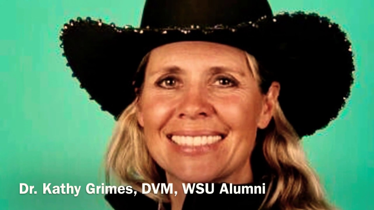 Kathy Grimes Making the NFR 2017 YouTube