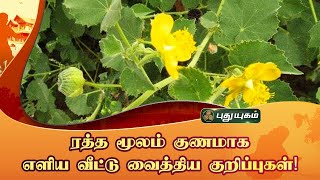 ரத்த மூலம் குணமாக எளிய வீட்டு வைத்திய குறிப்புகள்! Dr.UshaNandhini | இனியவை இன்று