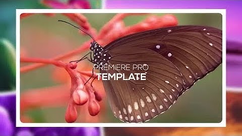 Epic Slideshow Premiere Pro Templates