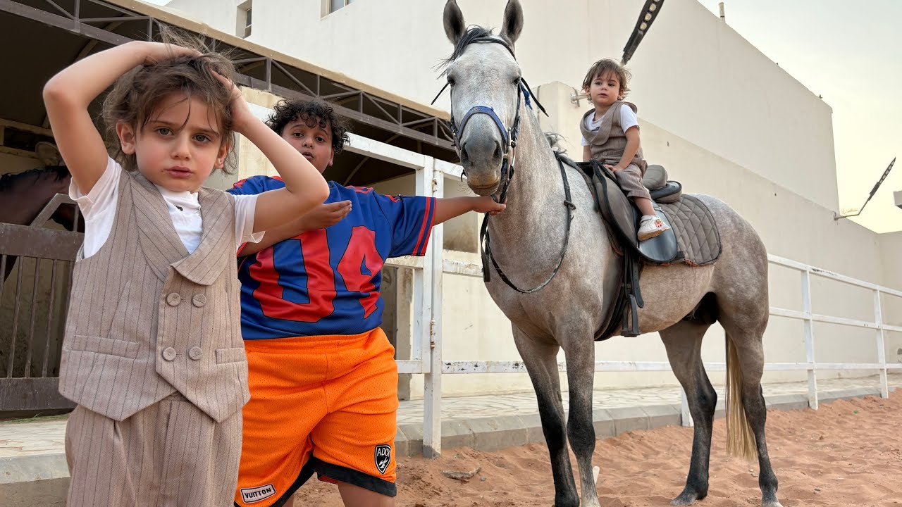 أبوفهودي دخل الخيل على البطريق وصار يبكي لأنه خرب المسبح 😭👌