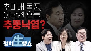 [정치생쇼] #3-2 추미애 돌풍, 이낙연 흔들…추풍낙엽?