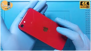 iPhone SE 2022 Screen Replacement #iphone #apple #repair #se2022