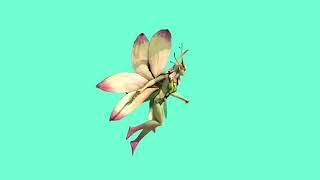 Peri green screen