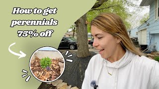 How To Get 75% Perennials & Landscaping Update! | VLOG