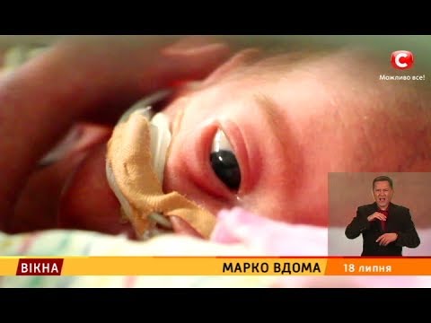 Марко вдома - Вікна-новини - 18.07.2017