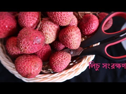 ভিডিও: সমসাময়িক আর্কিটেকচার সংরক্ষণের জন্য পুরষ্কার