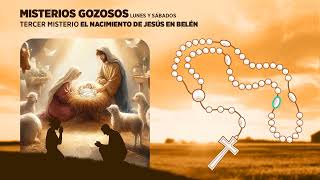 SANTO ROSARIO DE HOY SABADO 11 DE AMYO DEL 2024 MISTERIOS GOZOSOS