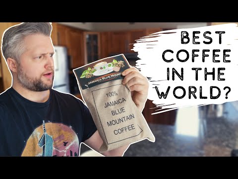 Video: Mogu li vegani piti kopi luwak?