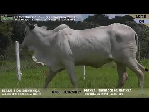 LOTE 004