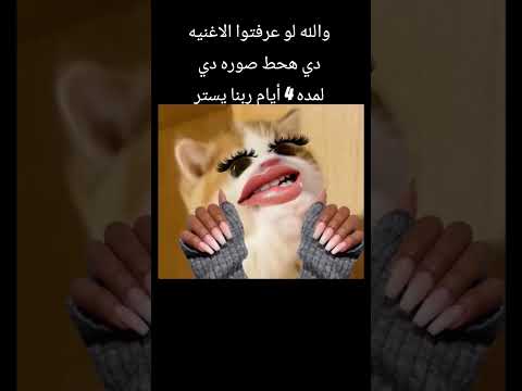 لو عرفتوا الاغنيه دي هحط الصوره دي لمده 4 أيام ربنا يستر  لايك اشتراك
