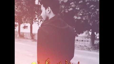 Hy ne kis kmy la gai a 🔥# dani gill# 🥀❣️👍