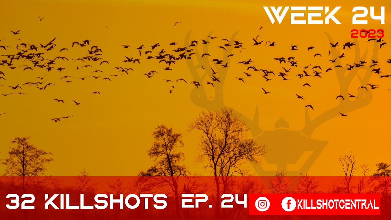 Killshot Montage Week 24 Killshot Central YouTube