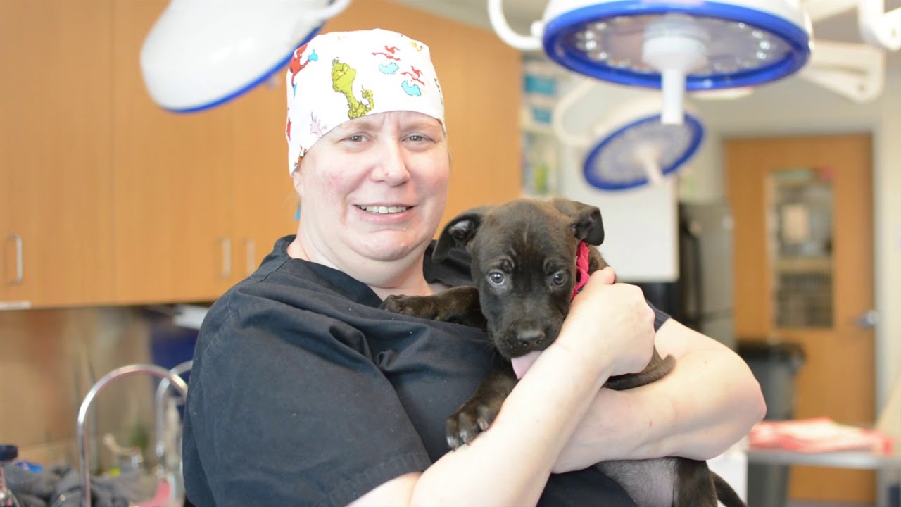 LifeLine's Community Animal Center