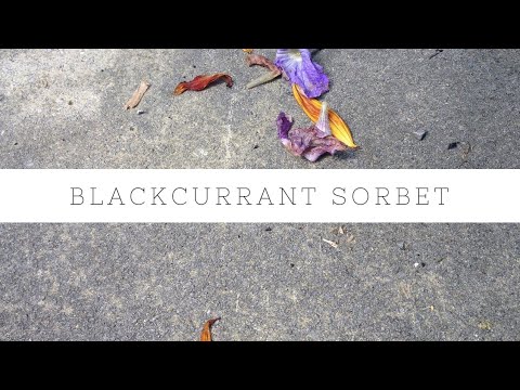 Videó: Hogyan Készítsünk Fekete Ribizli Szorbettát