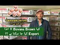 Can bovans brown eggs be exported   what is salmonella vaccination   poultry farming in pakistan
