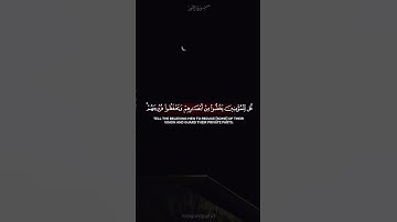 قل للمؤمنين يغضوا من أبصارهم #تلاوة_خاشعة #المنشاوي #اكسبلور #حالات #تيك_توك #يوتيوب #ريلز