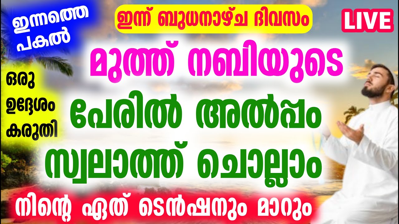ഇന്നത്തെ ഏത് കാര്യവും പൂർത്തിയാകും... ഈ സ്വലാത്ത് ചൊല്ലുക Live Majlis |zaini vision live