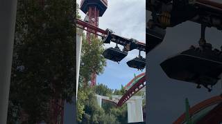 Ninja Swinging Through the Trees at Magic Mountain 🌲🎢