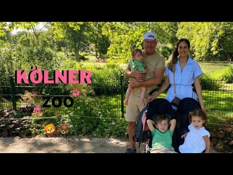 Vídeo: Zoo em Colônia