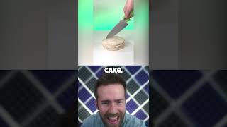 Is This Real Or Cake