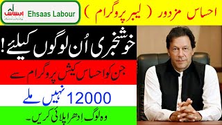 How To Apply Ehsaas Labour Program Unemployment Ehsaas Cash Program !! in Urdu Hindi !! How To Help