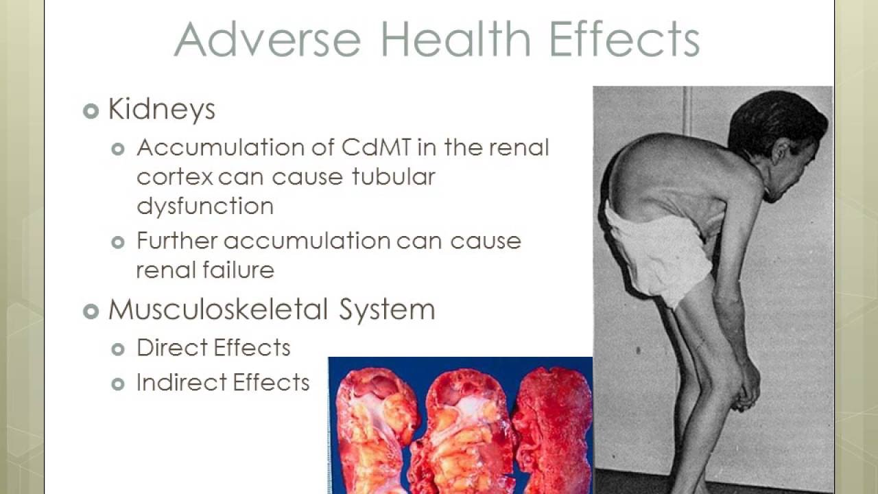 Toxicité du cadmium / Cadmium Toxicity YouTube